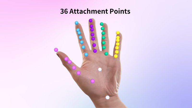 Attachment Points Blog