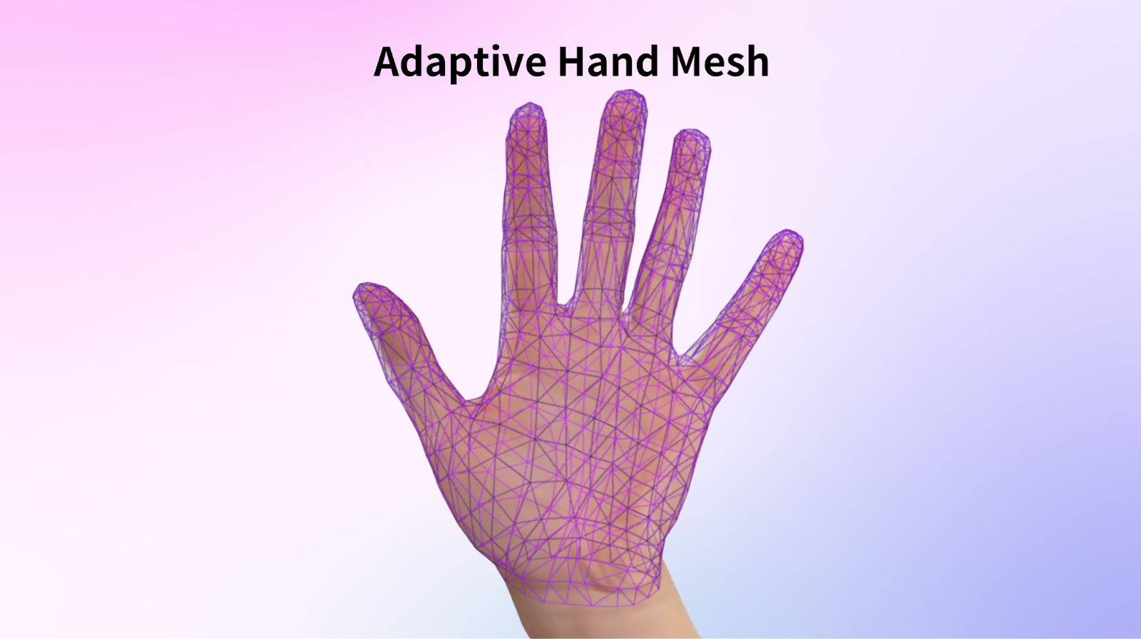 adaptive hand mesh image
